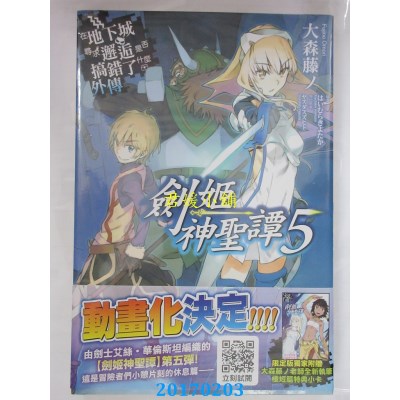 空运  青文小说  在地下城寻求邂逅是否搞错...(外传)05(限定版)
