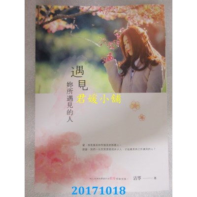 空运版  畅销书  遇见你所遇见的人  作者： 沾零(全新)! 