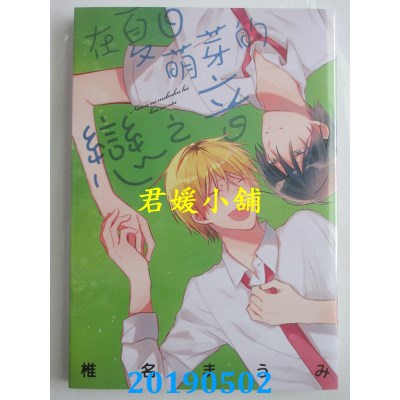 空运版  长鸿  在夏日萌芽的恋之音
 作者： 椎名まうみ(全新)